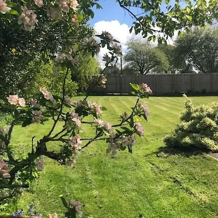 Stunningly Spacious And Annexe With 7 Beds * York