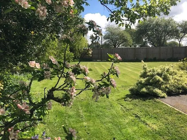 Stunningly Spacious And Annexe With 7 Beds * York